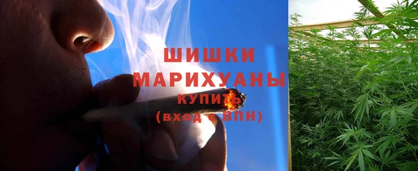 шишки Заволжск