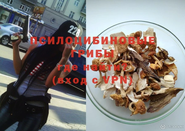 шишки Заволжск